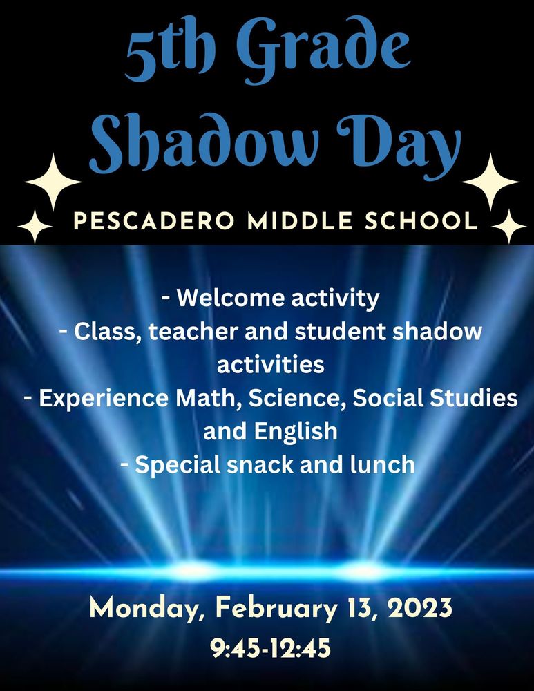Shadow Day flyer