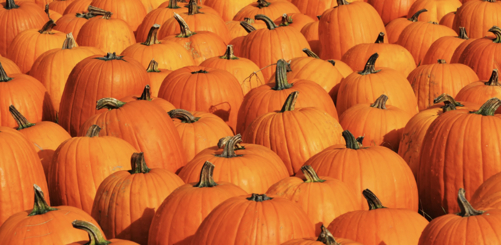 Pumpkins