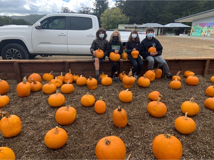 Raccoon Council members with Pumpkins
