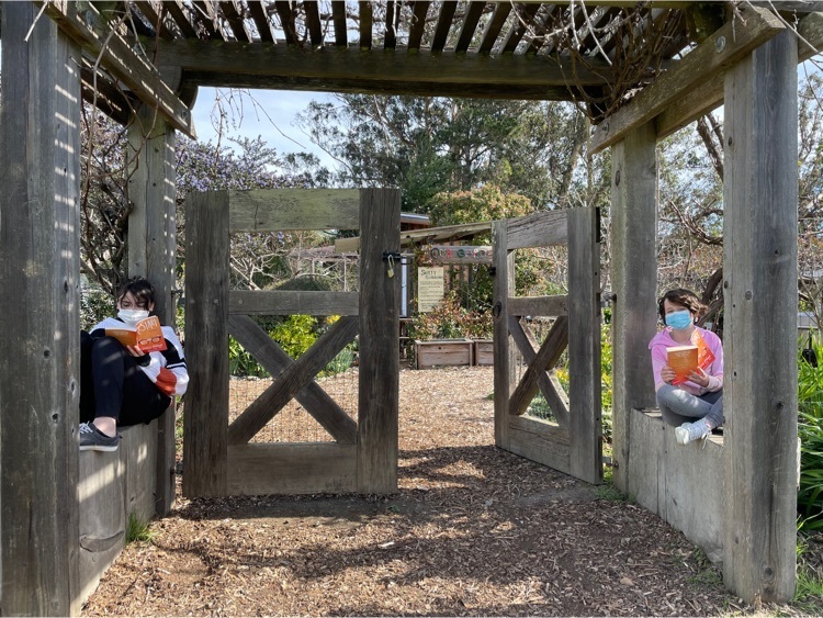 two students reading outside 