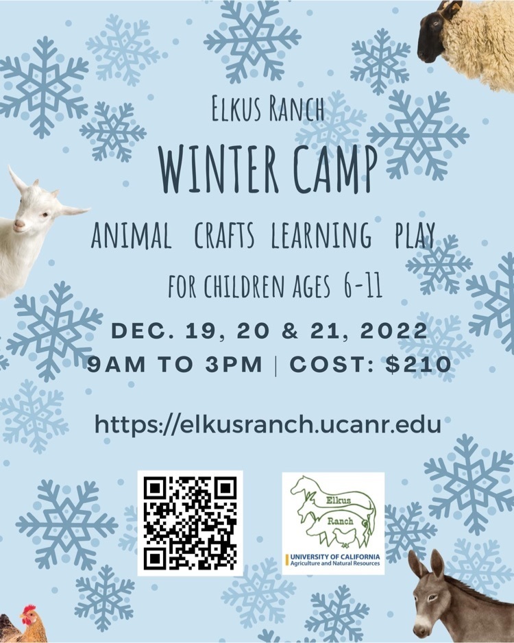 winter camp flyer