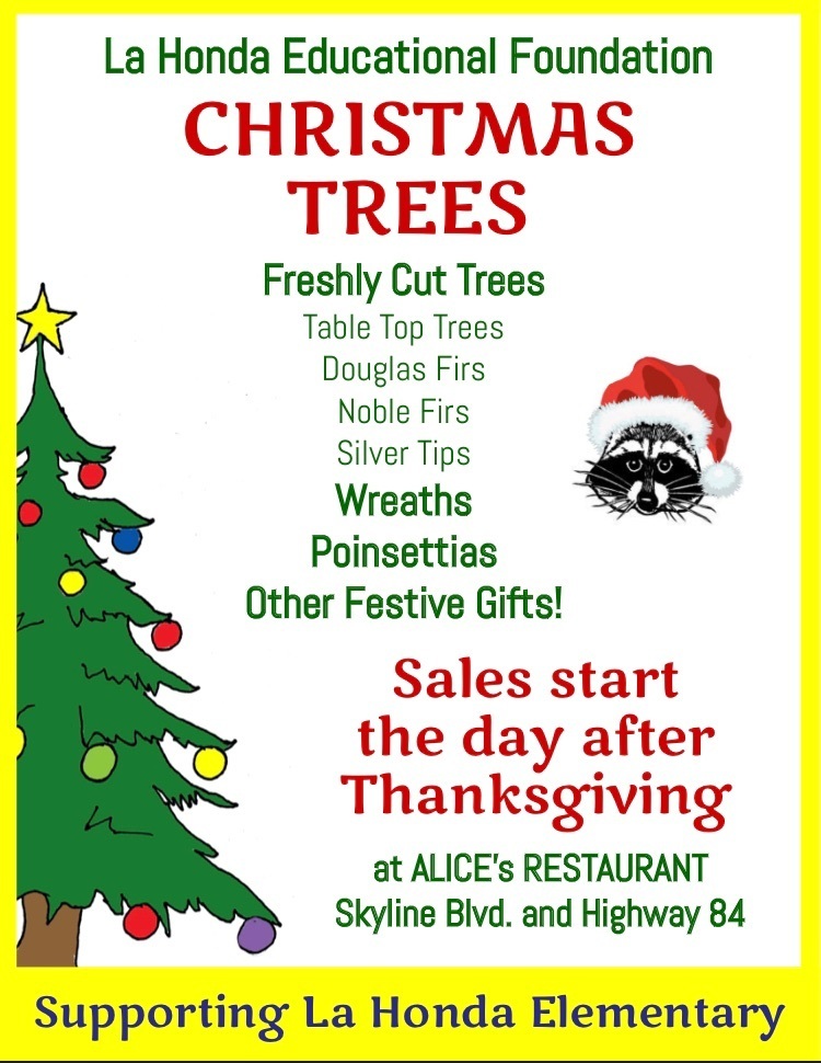 Christmas Tree Sales 