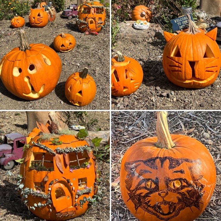 more creative pumpkins 