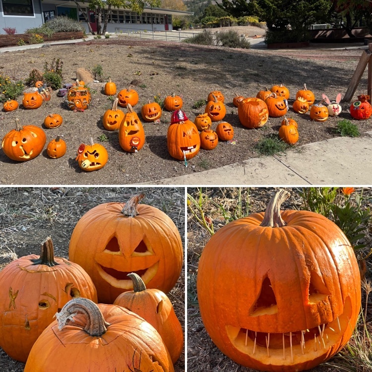 even more creative pumpkins 