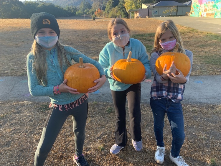 Three students with pumpkins