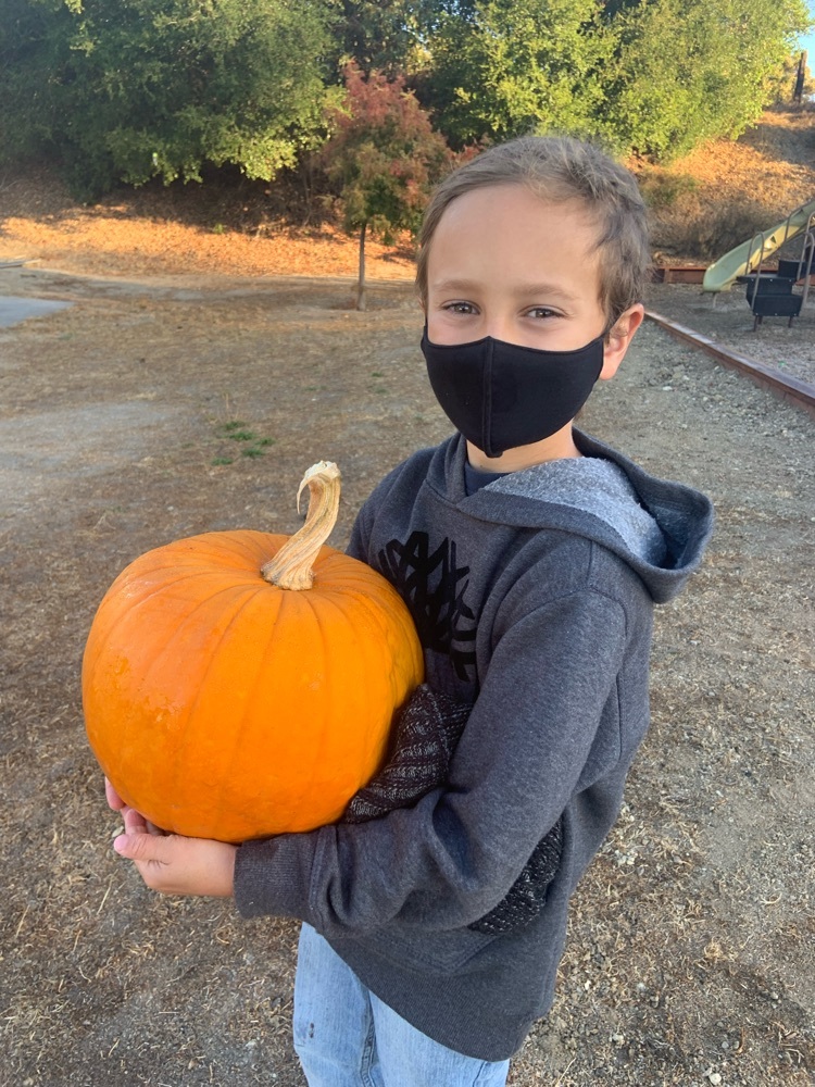 Happy student with pumpkin