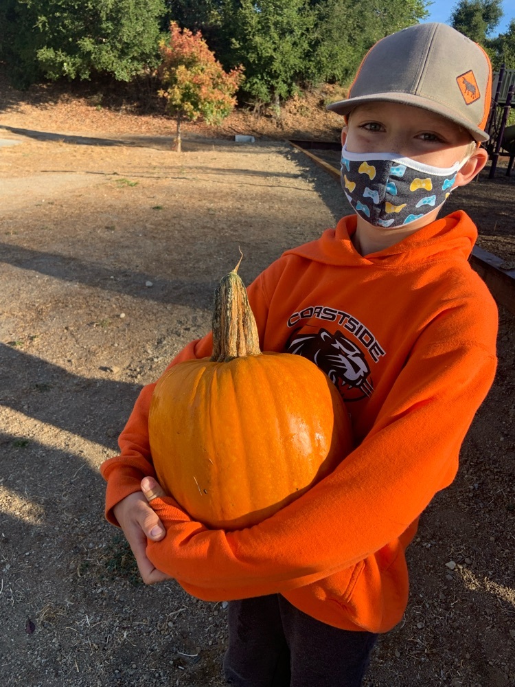 Another happy student with his pumpkin 