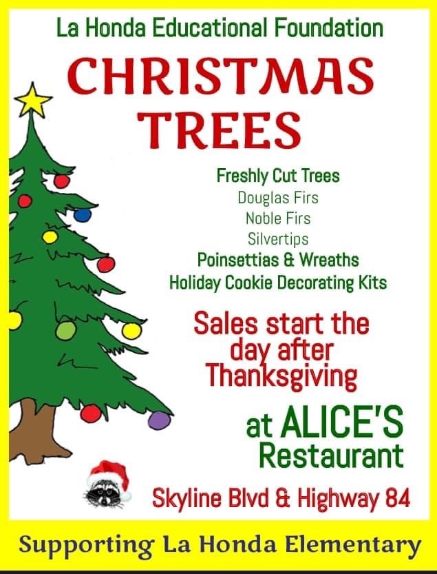 Flyer for Christmas Trees 